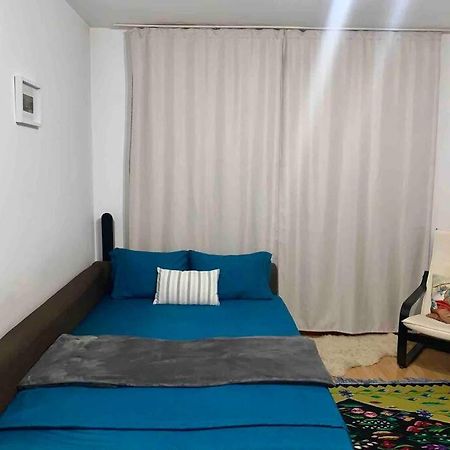 Central Apartment Muncii Area Netflix Boekarest Buitenkant foto